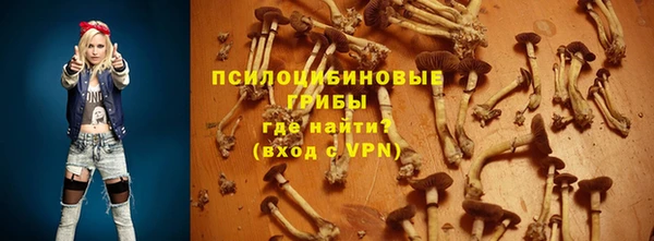 герыч Алзамай