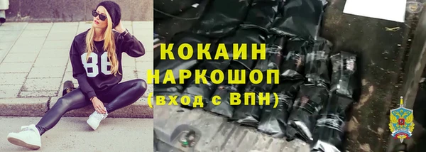 тгк Алексин
