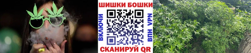 Бошки Шишки White Widow  наркота  Плавск 